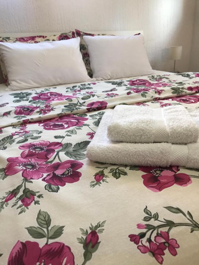 Apartman Studio Milojkovic Golubac Ngoại thất bức ảnh