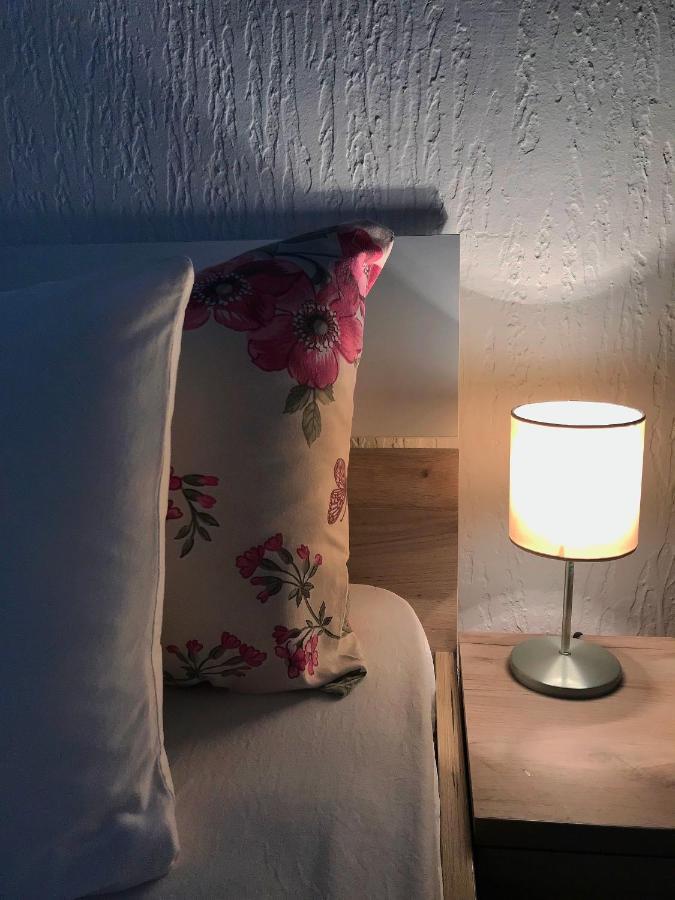 Apartman Studio Milojkovic Golubac Ngoại thất bức ảnh