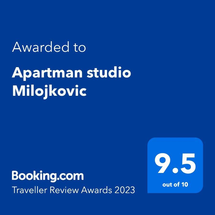 Apartman Studio Milojkovic Golubac Ngoại thất bức ảnh
